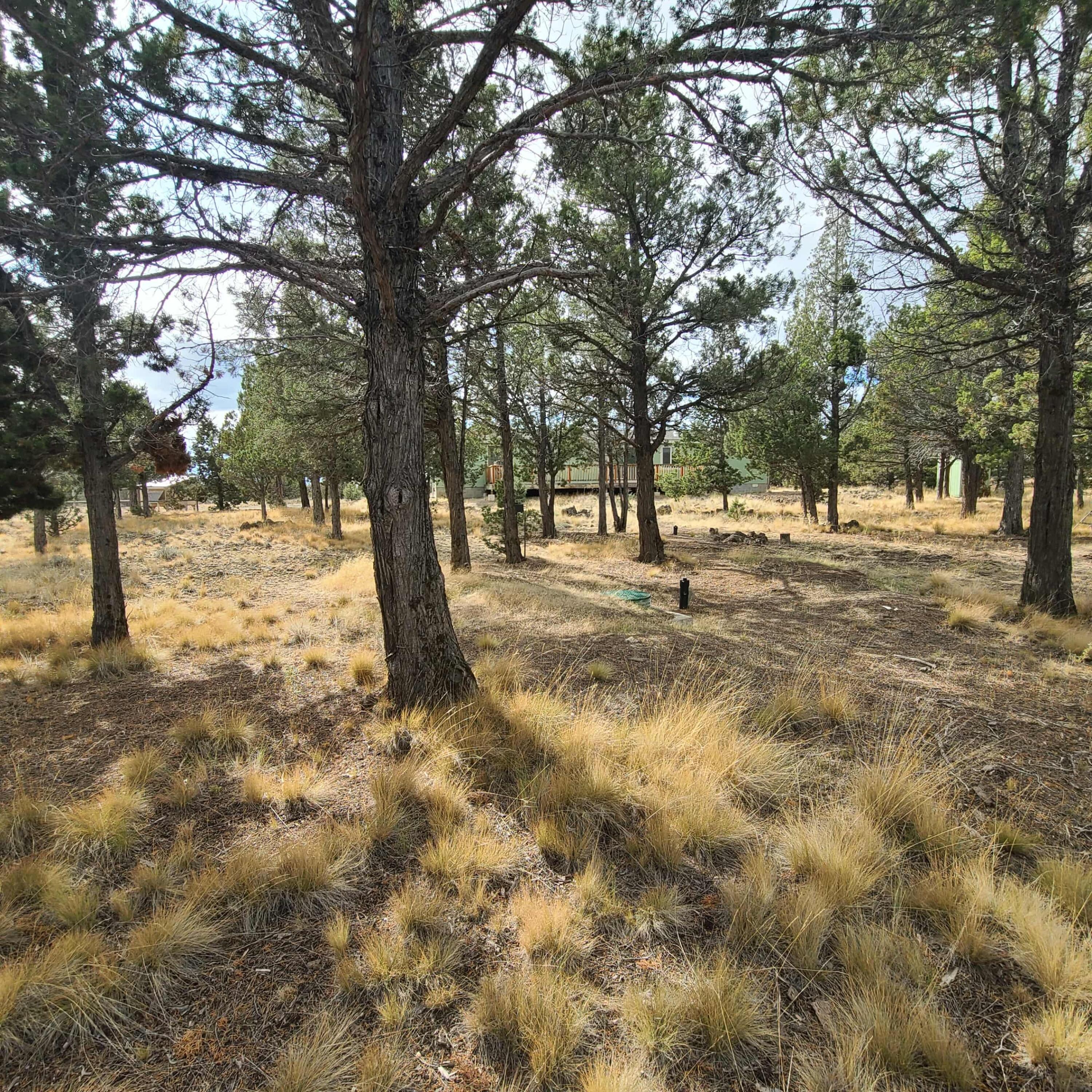 Ochoco Land + Livest - Residential