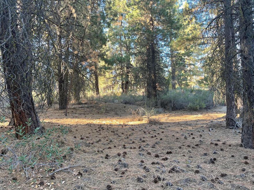 This is a nice treed lot of almost 2 acres, slightly slopped with a more level building spot not far from the road. Six miles from the town of Chiloquin and not far from Sprague River. Come take a look at this beautiful acreage.