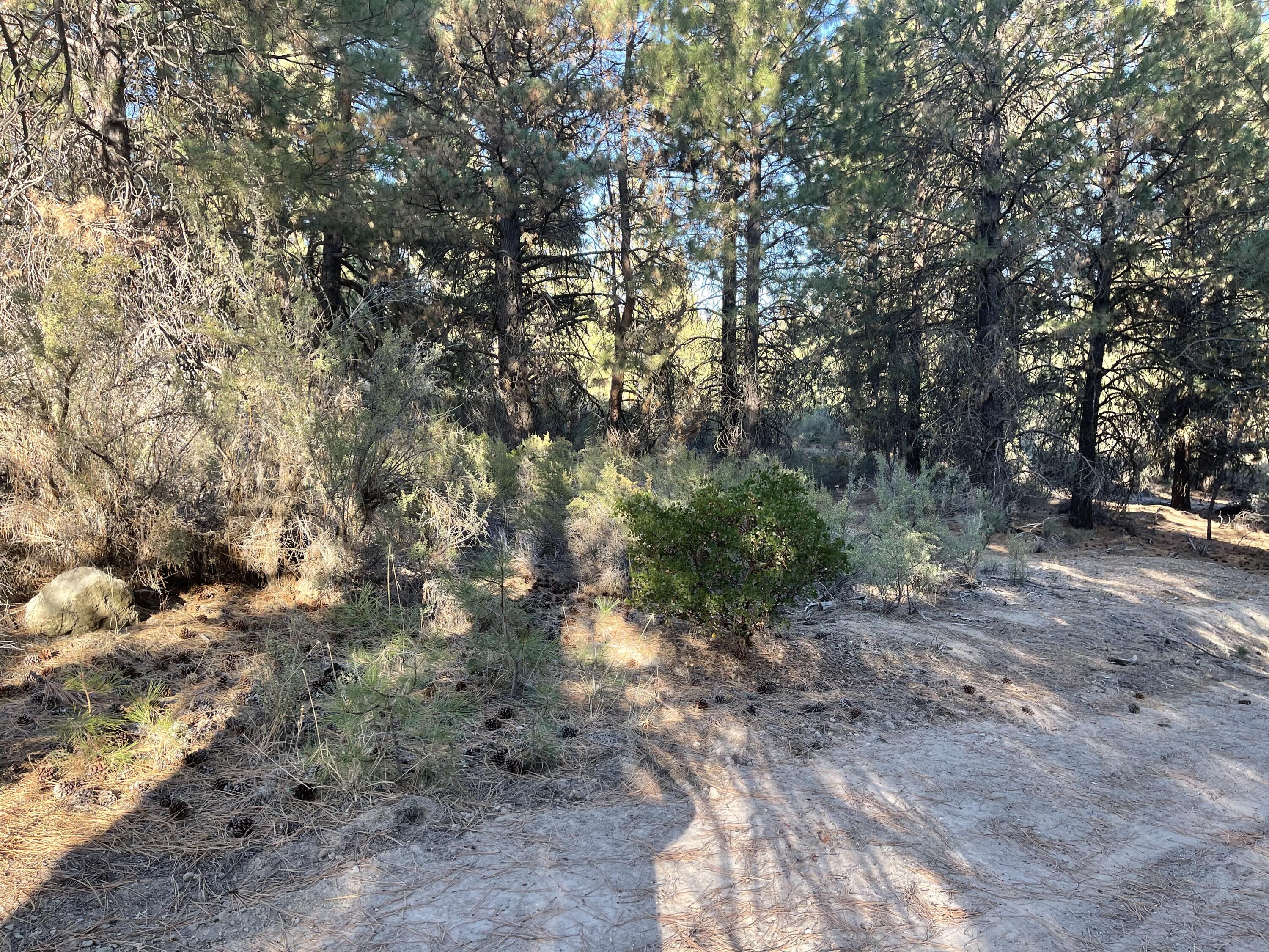 Winema Peninsula - Land