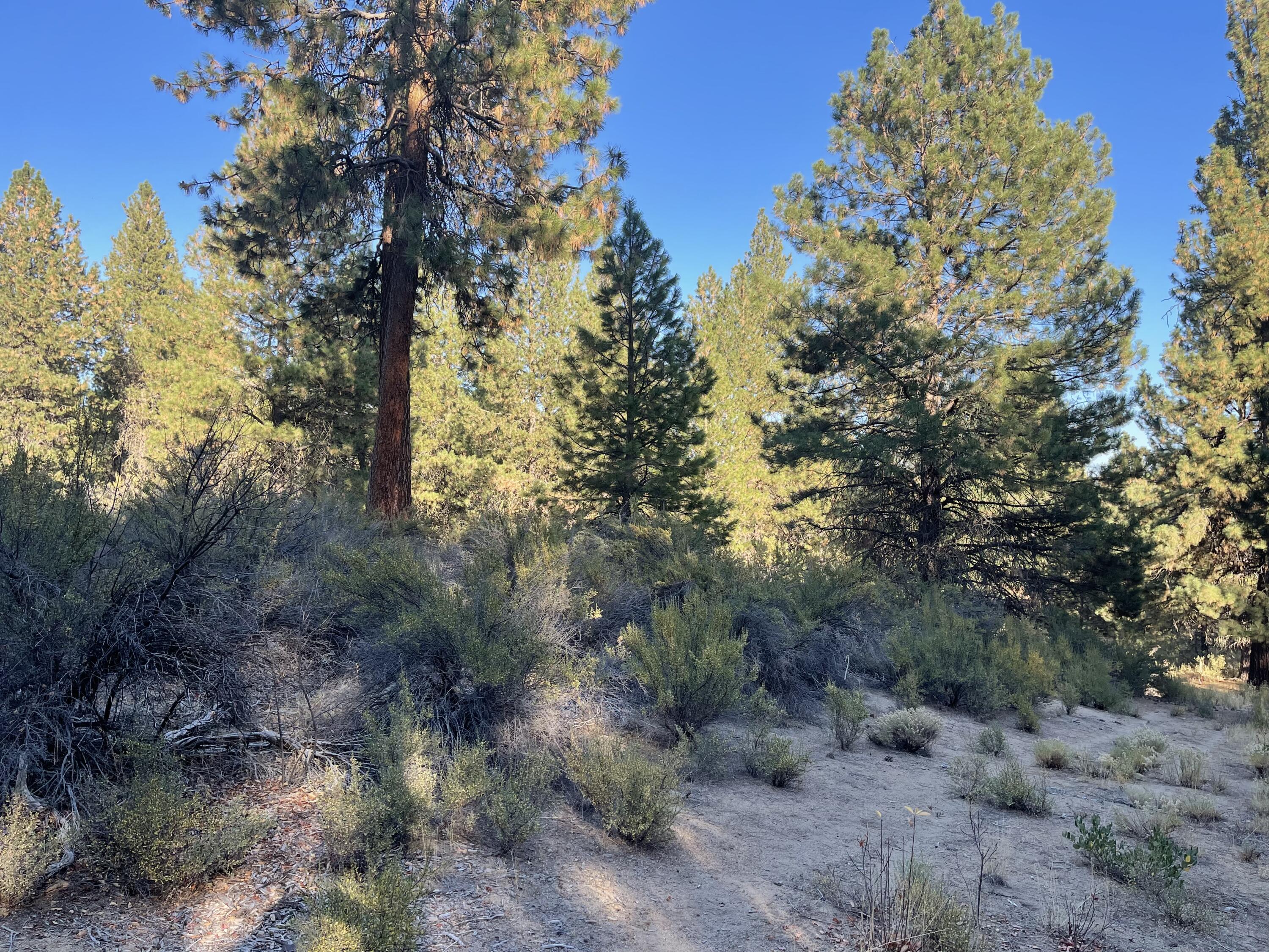 Winema Peninsula - Land