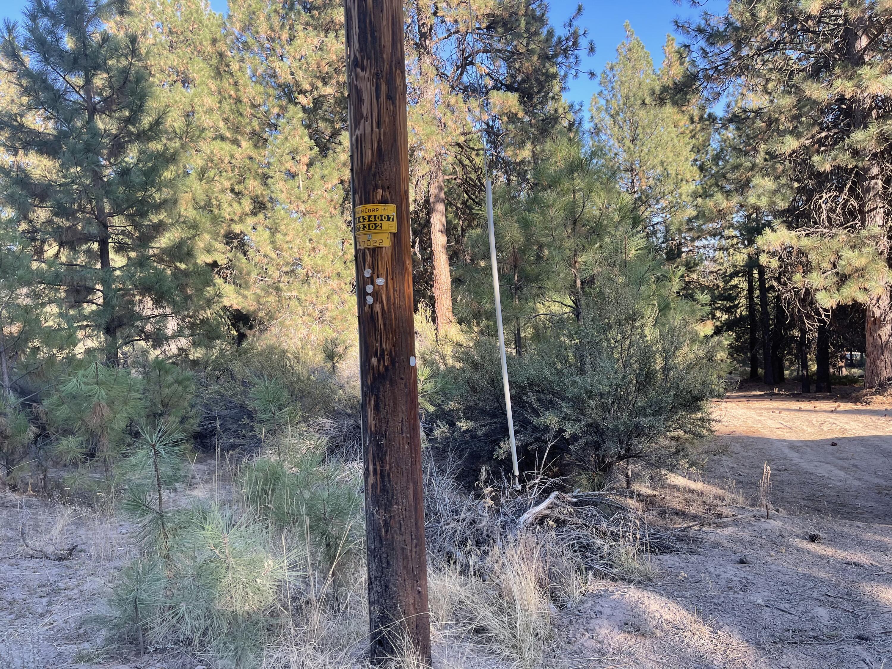 Winema Peninsula - Land