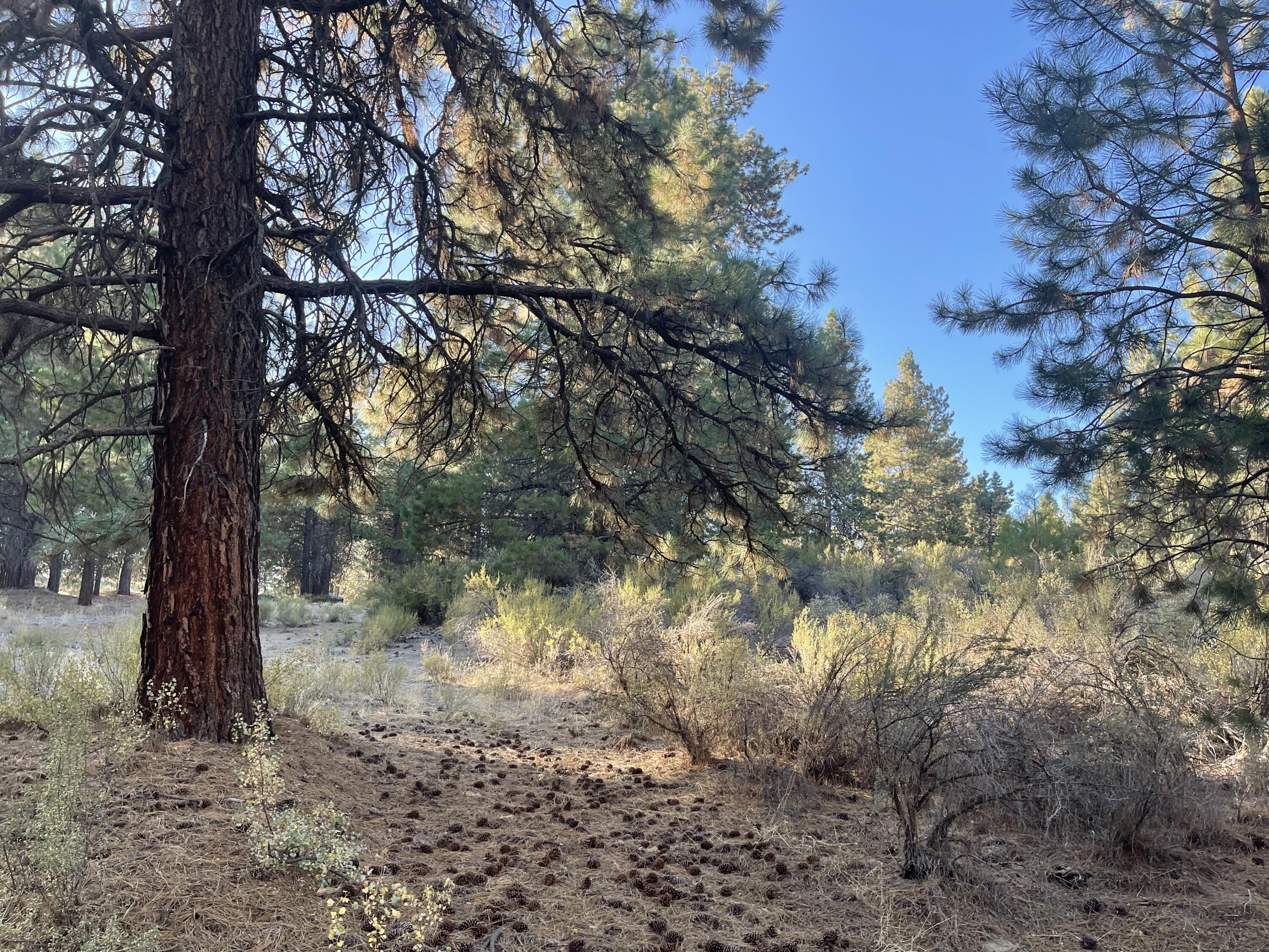 Winema Peninsula - Land