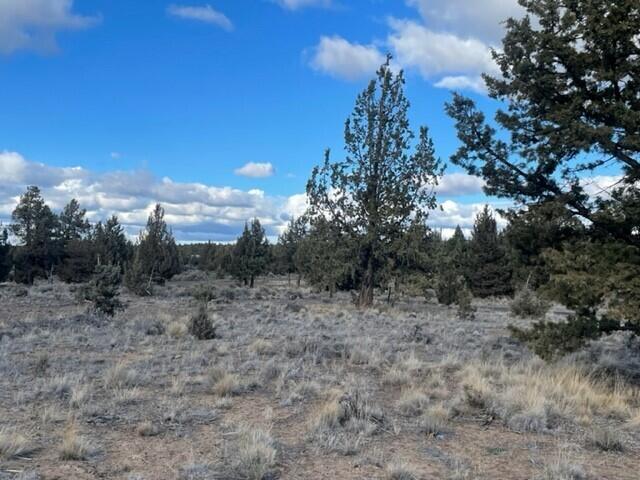 Prineville Acres - Land