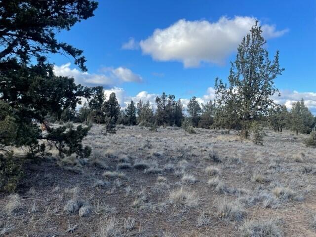Prineville Acres - Land