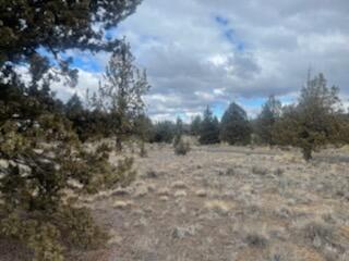 Prineville Acres - Land