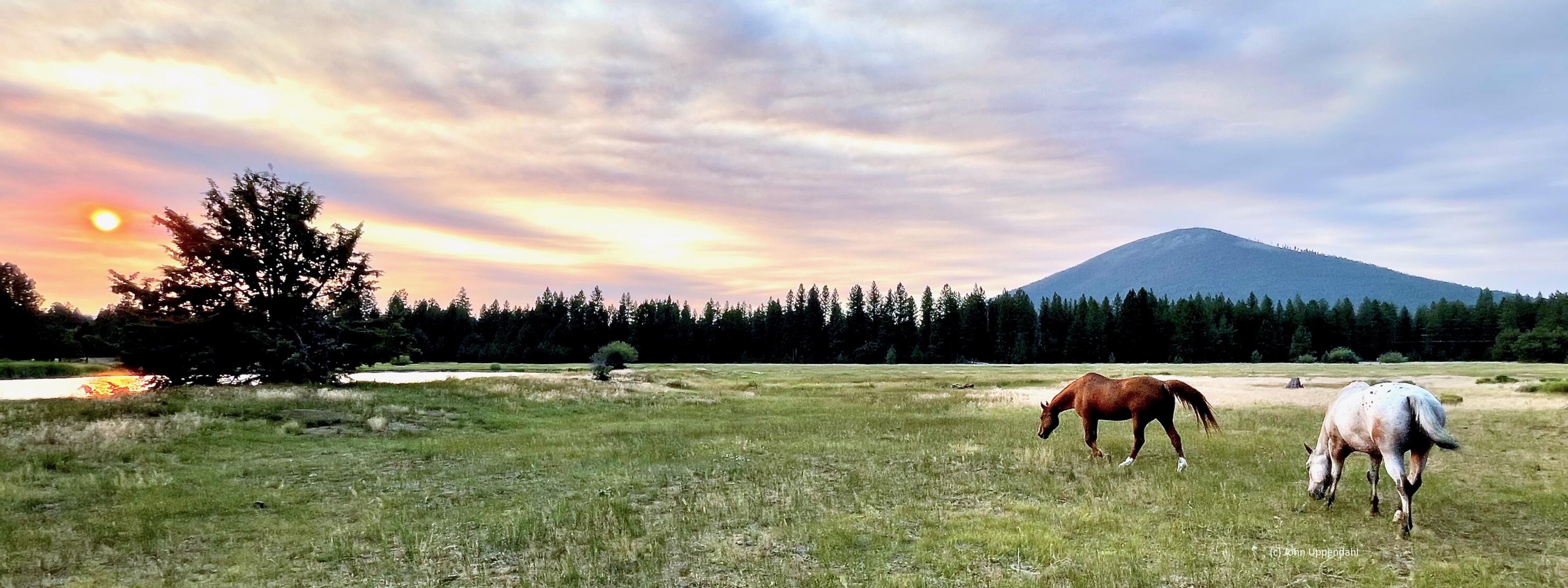 Black Butte Ranch - Residential