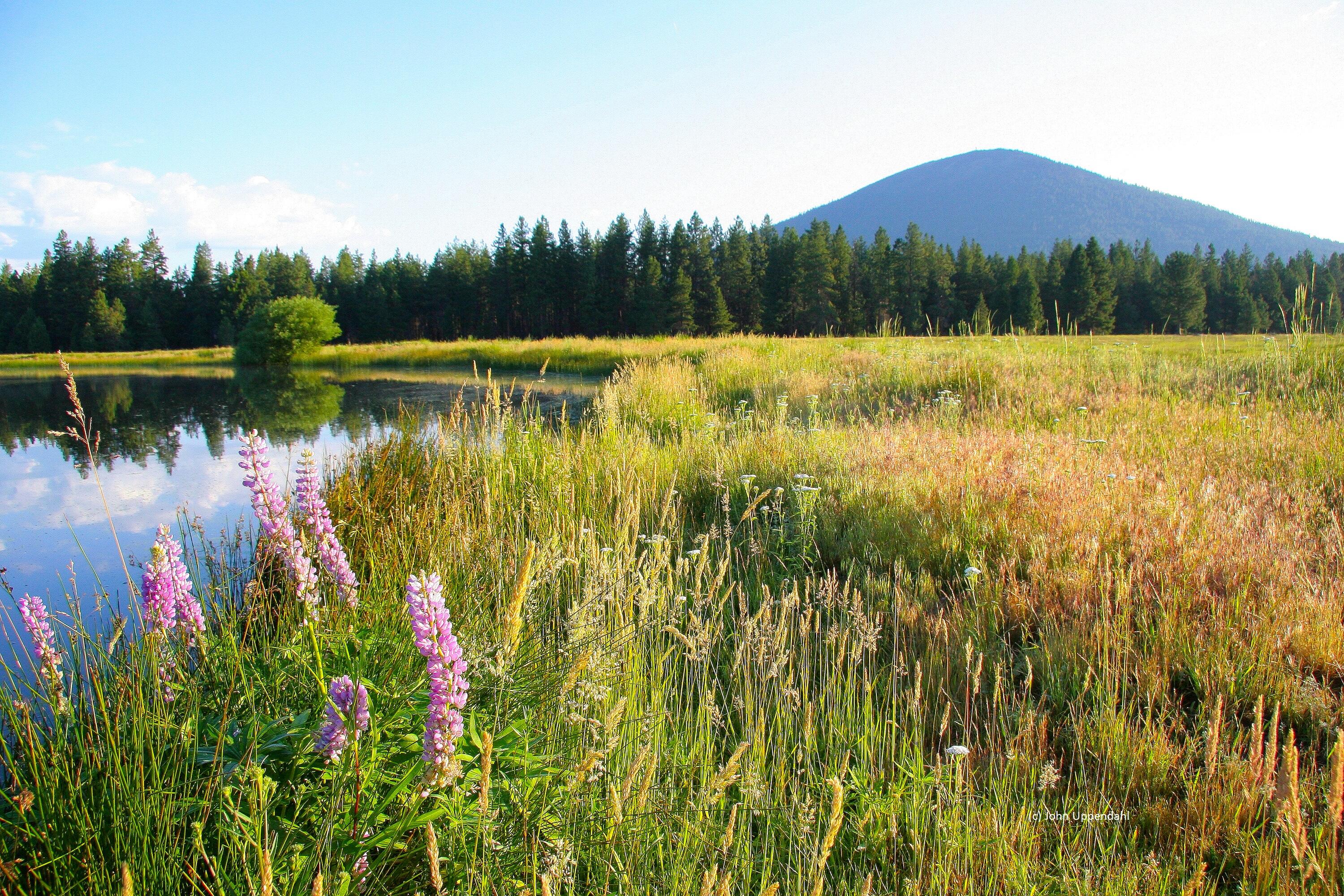Black Butte Ranch - Residential