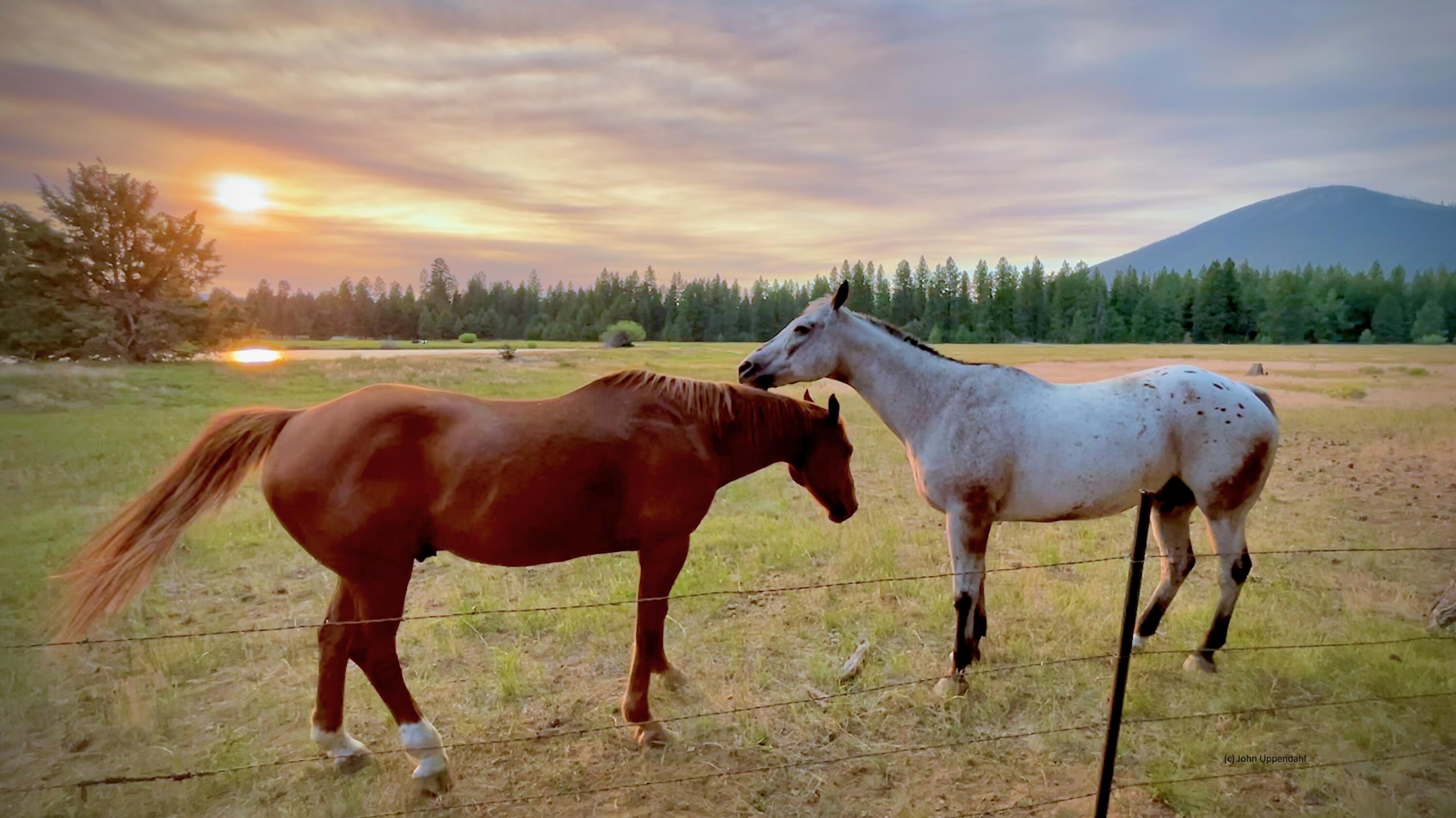 Black Butte Ranch - Residential
