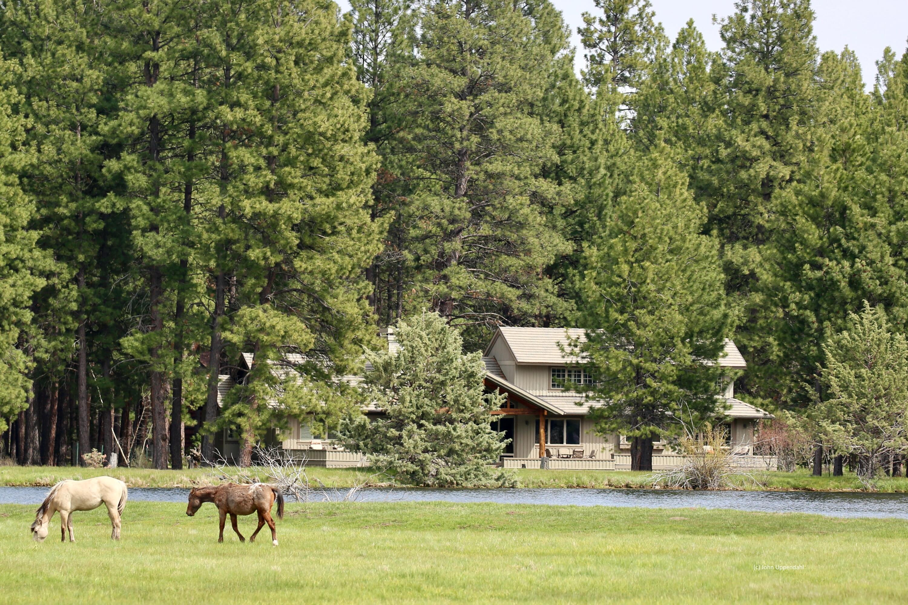 Black Butte Ranch - Residential
