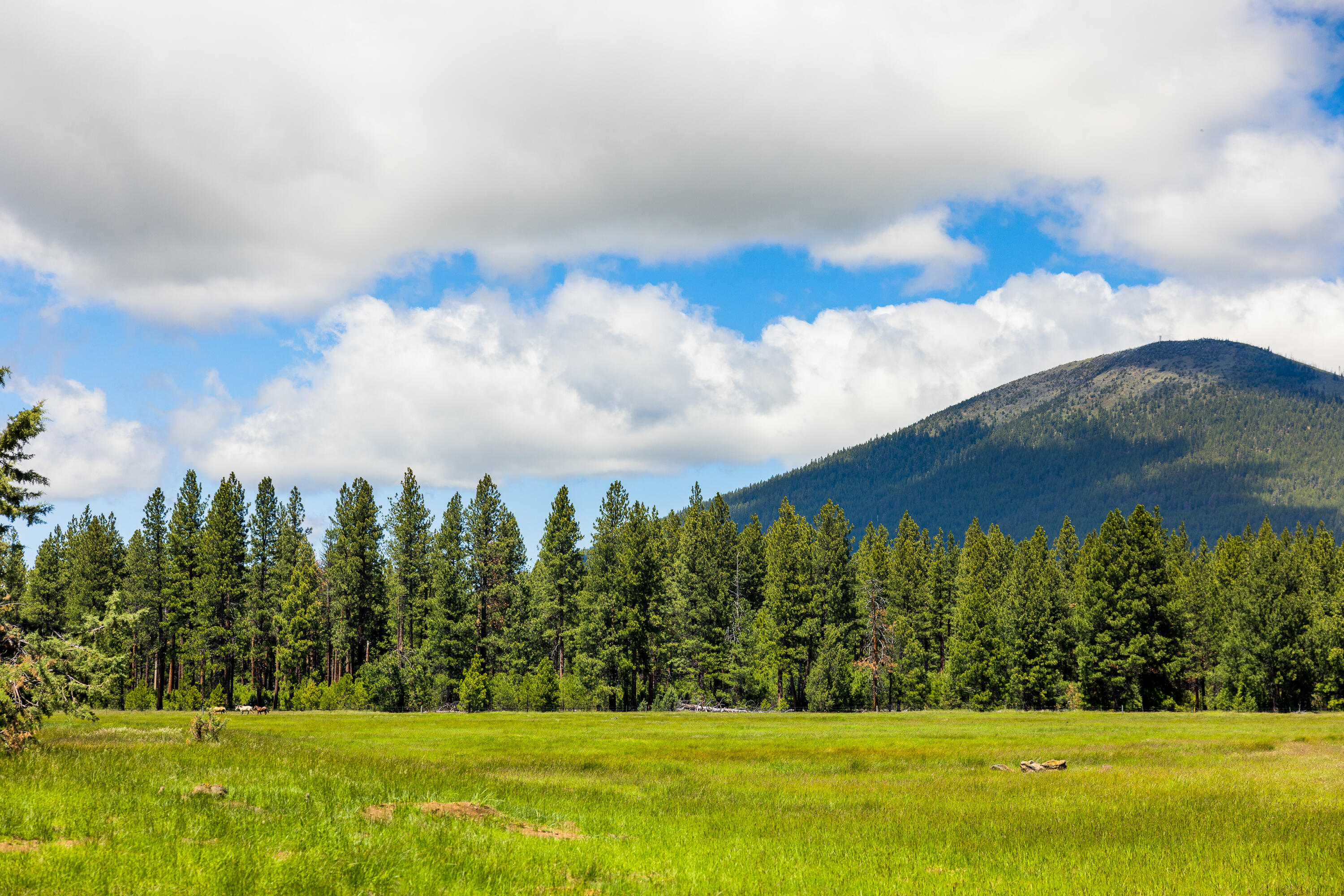 Black Butte Ranch - Residential