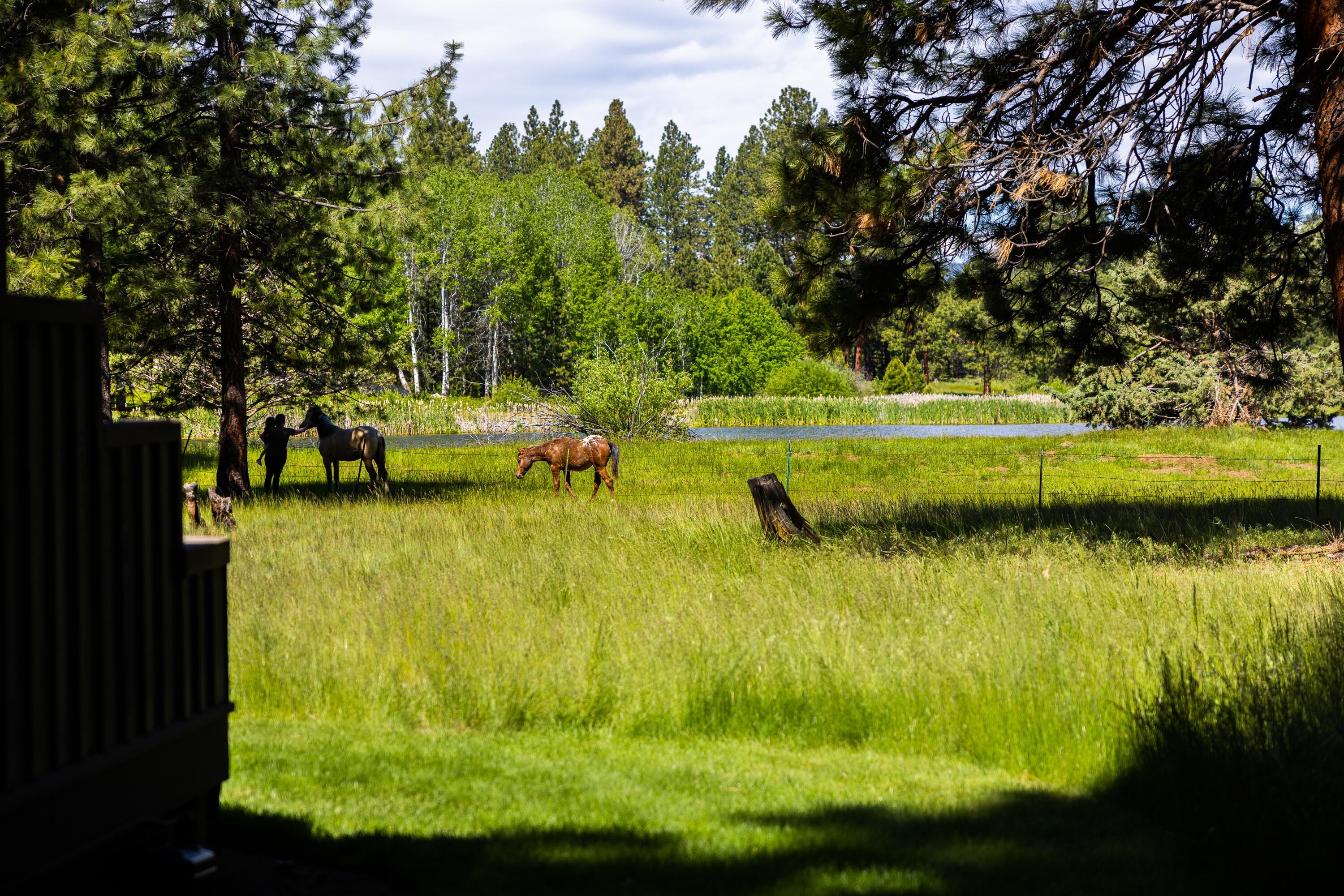 Black Butte Ranch - Residential