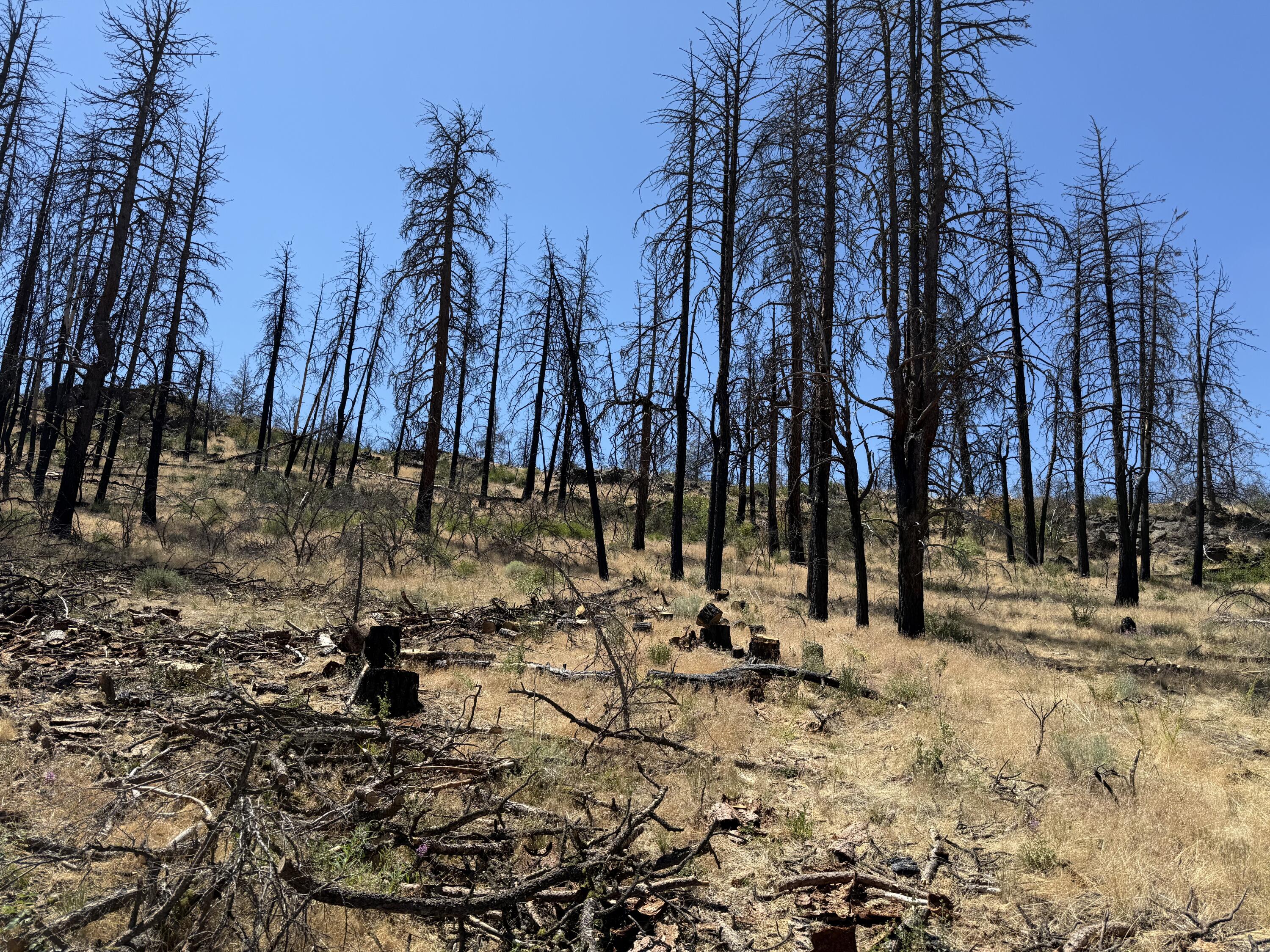 Klamath Falls Forest Estates Hwy 66 Unit Plat 4 - Land