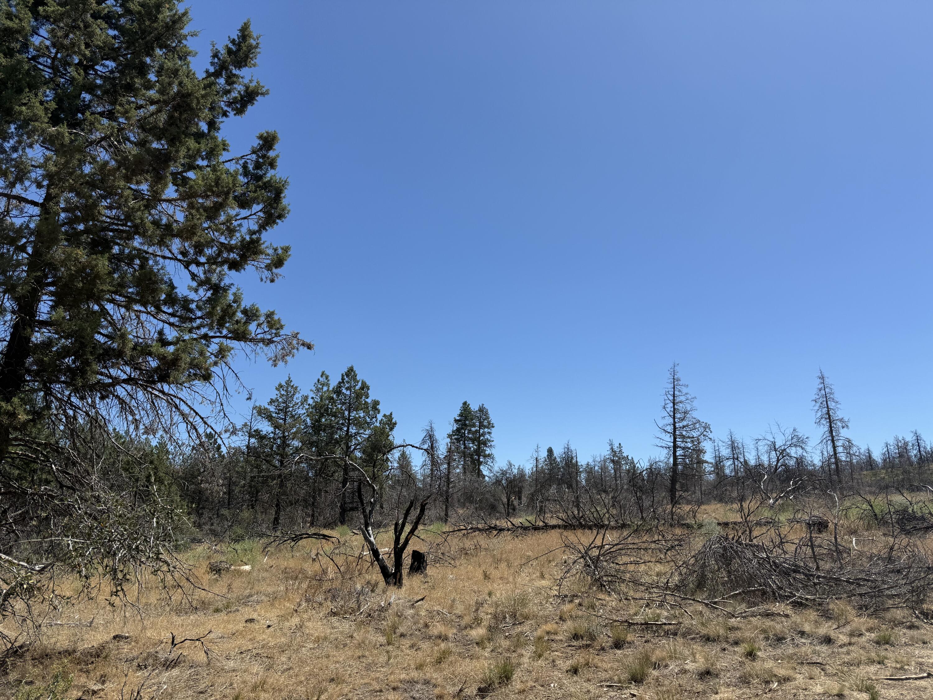 Klamath Falls Forest Estates Hwy 66 Unit Plat 4 - Land