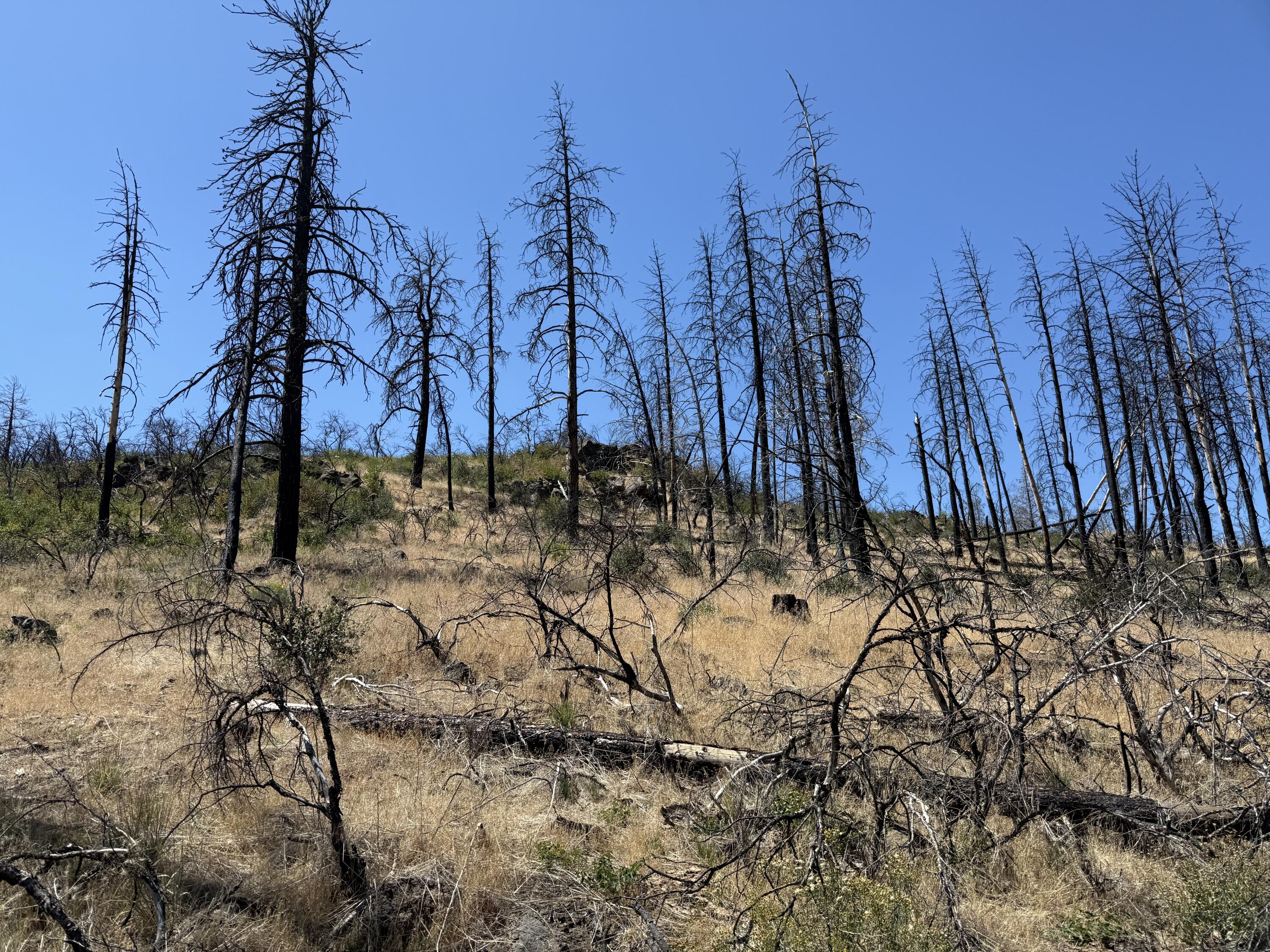 Klamath Falls Forest Estates Hwy 66 Unit Plat 4 - Land