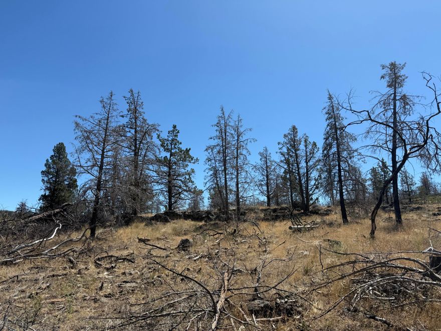 Embrace the peace and quiet of country living with this 16.4-acre lot just outside of the small town of Bonanza. Bordering public land, this property offers direct access to wide-open spaces and outdoor adventure. Unique rock outcroppings add natural character and a striking backdrop for your future home, getaway or investment. For those looking for more space, there is also the opportunity to purchase additional adjoining lots to expand your property.