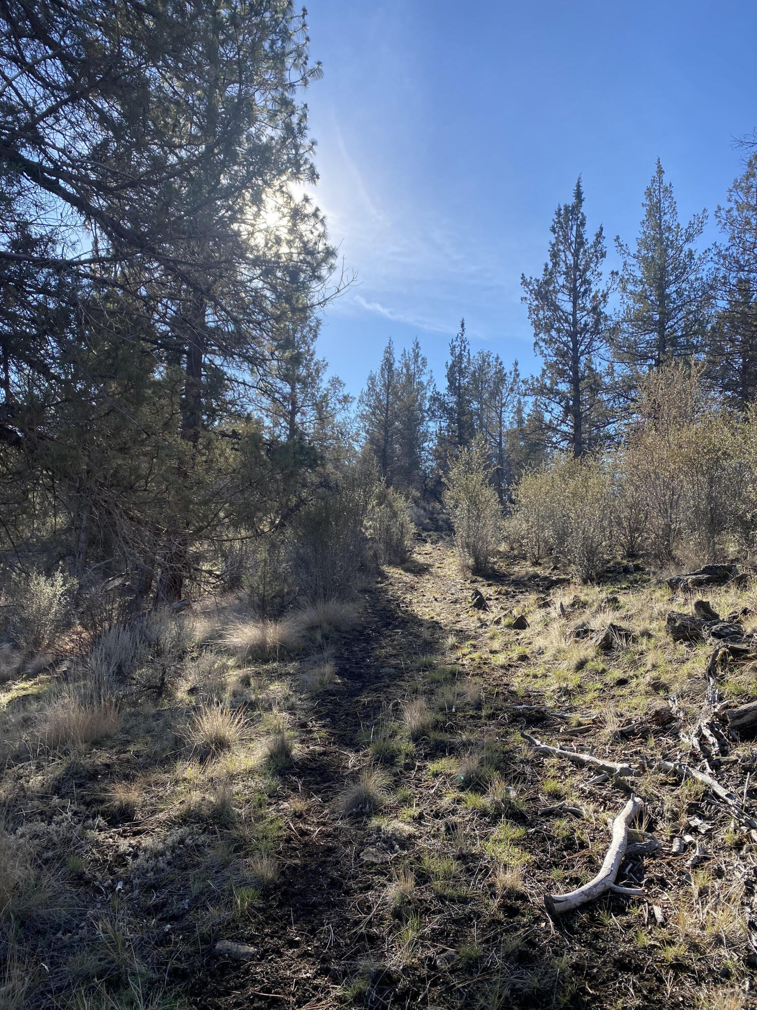 Klamath Falls Forest Estates -Sycan Unit - Land