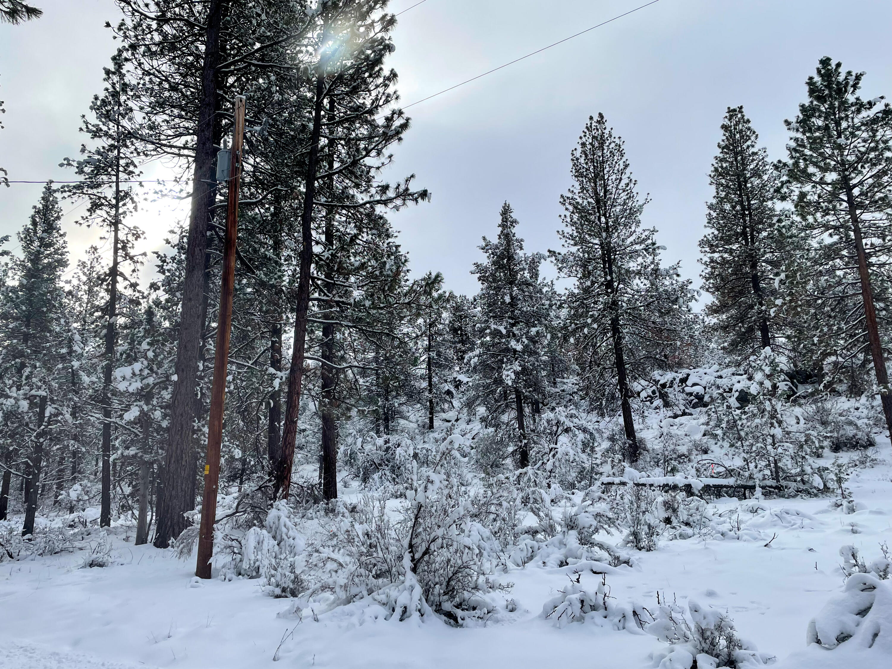 Klamath Falls Forest Estates -Sycan Unit - Land