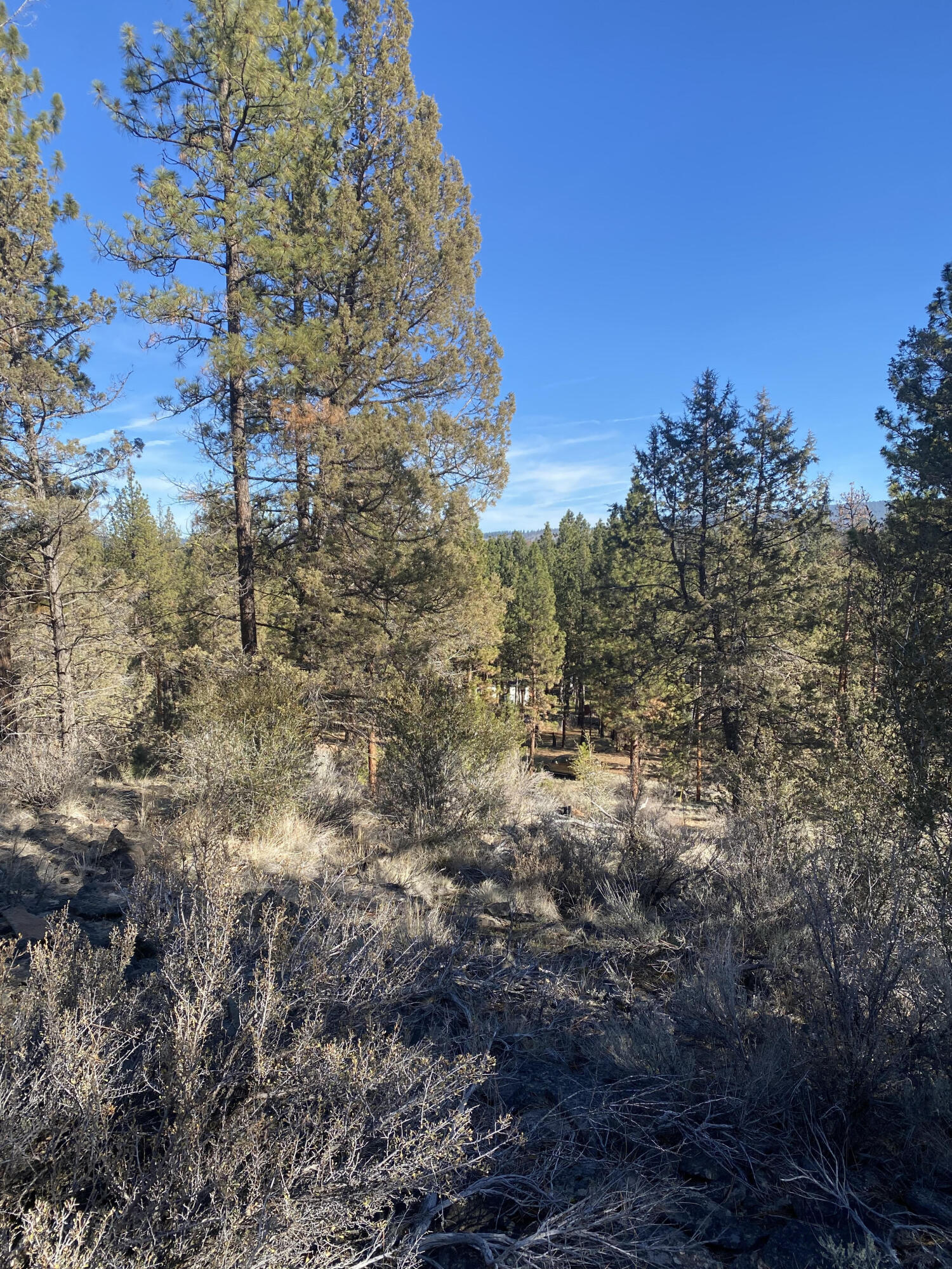 Klamath Falls Forest Estates -Sycan Unit - Land