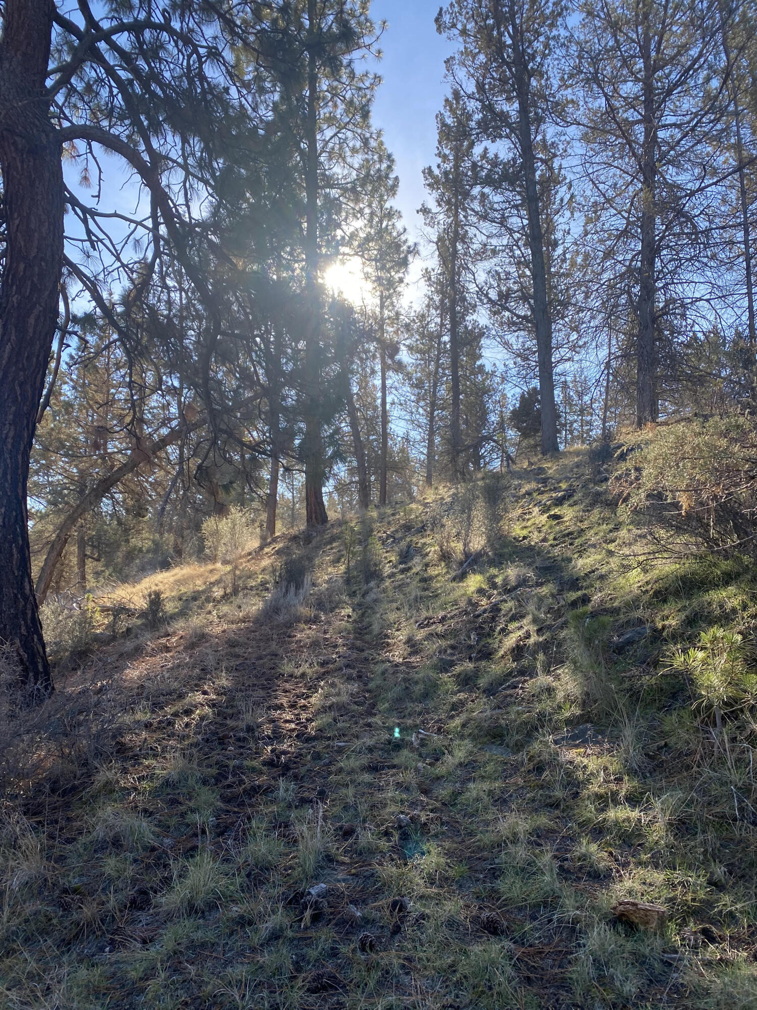 Klamath Falls Forest Estates -Sycan Unit - Land