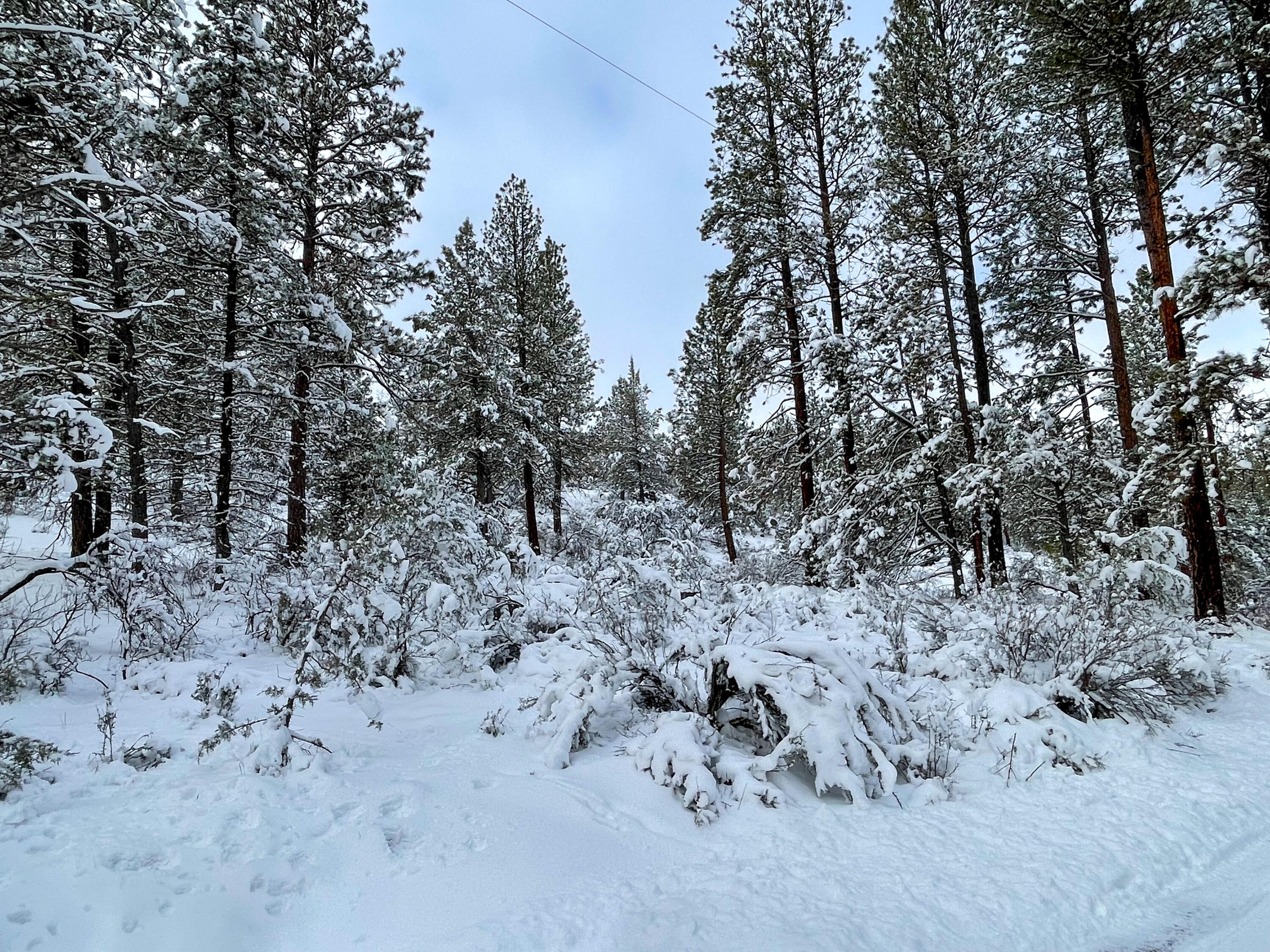 Klamath Falls Forest Estates -Sycan Unit - Land
