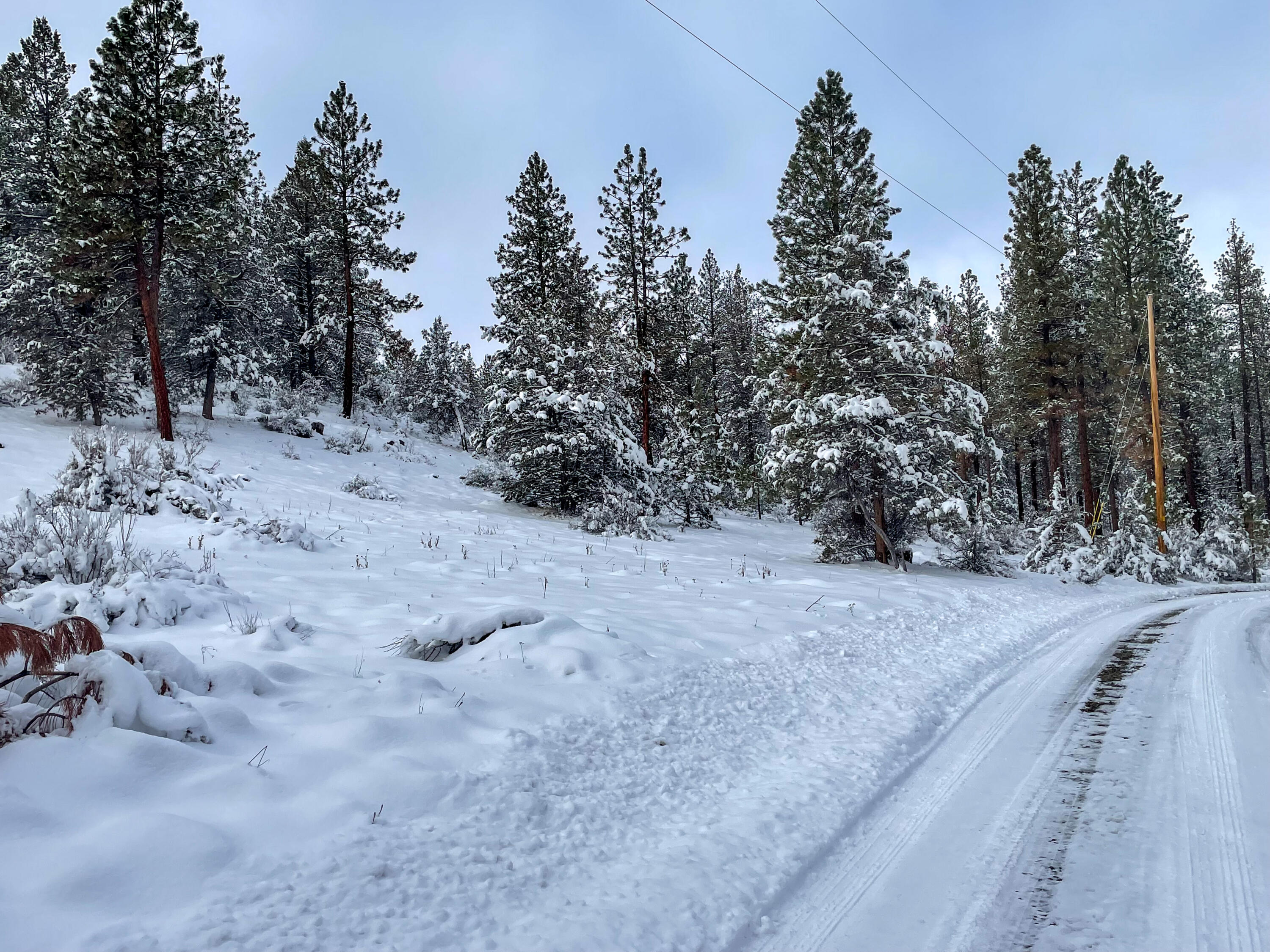 Klamath Falls Forest Estates -Sycan Unit - Land