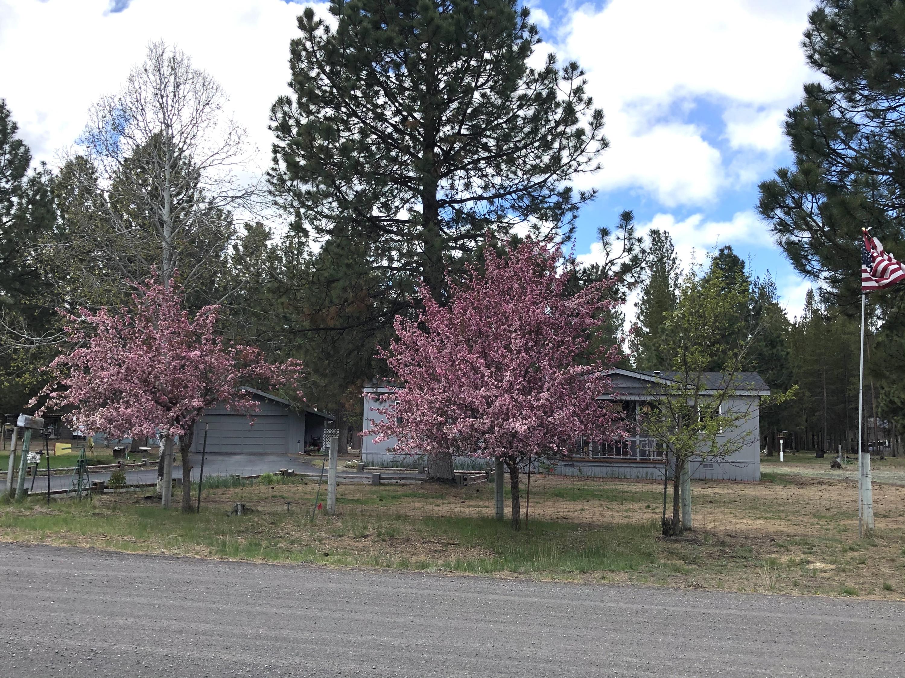 Forest View - Residential