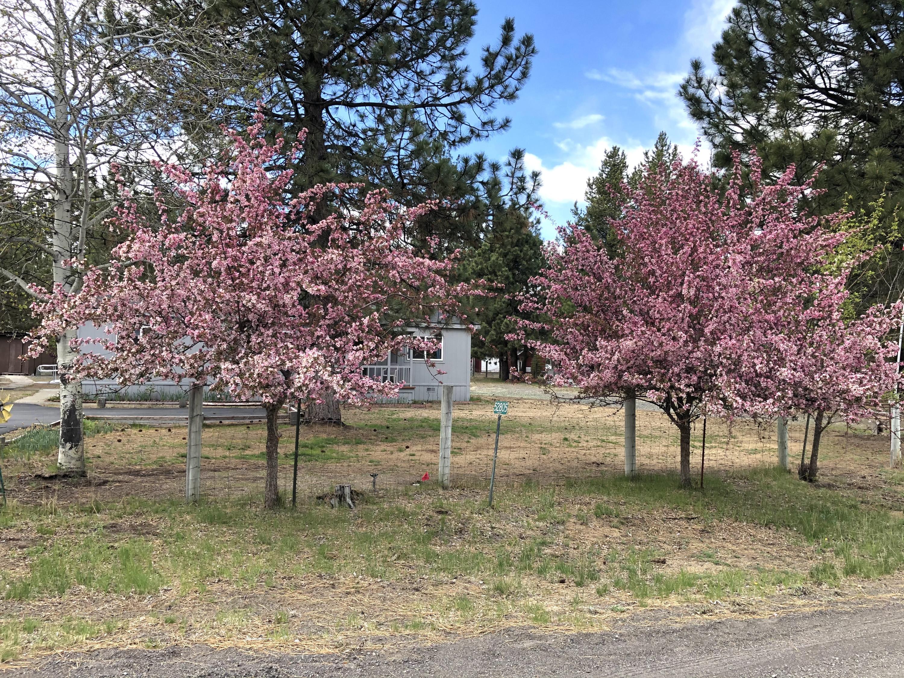 Forest View - Residential