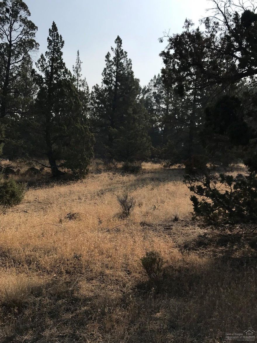 Where can you get a little over an acre in Bend with Mountain Views? Ready for a septic. Avion water and Pacific Power close by.