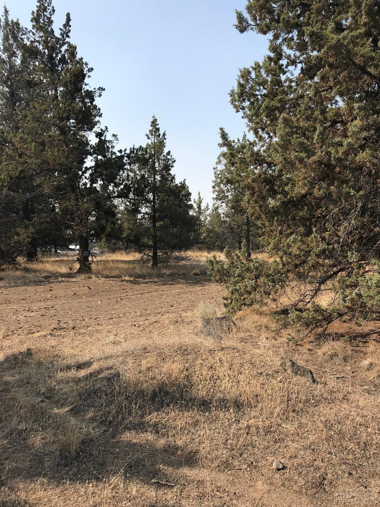 Whispering Pines - Land