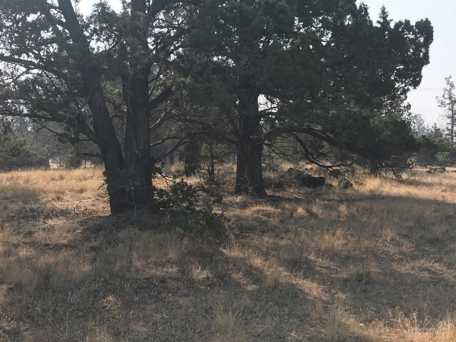 Whispering Pines - Land