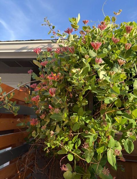 Tiny photo for 5119 Sturdivant Avenue, Klamath Falls, OR 97603 (MLS # 220213597)