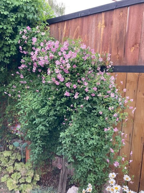 Tiny photo for 5119 Sturdivant Avenue, Klamath Falls, OR 97603 (MLS # 220213597)