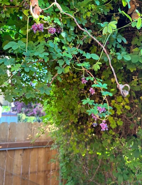 Tiny photo for 5119 Sturdivant Avenue, Klamath Falls, OR 97603 (MLS # 220213597)