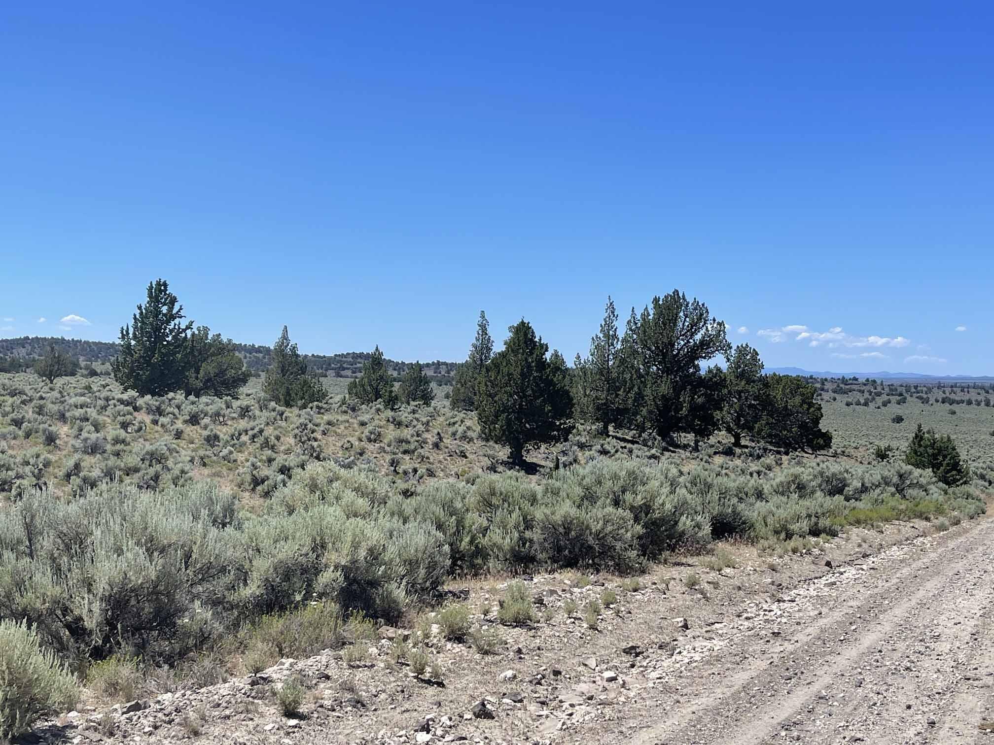 Benjamin Lake Road L 502