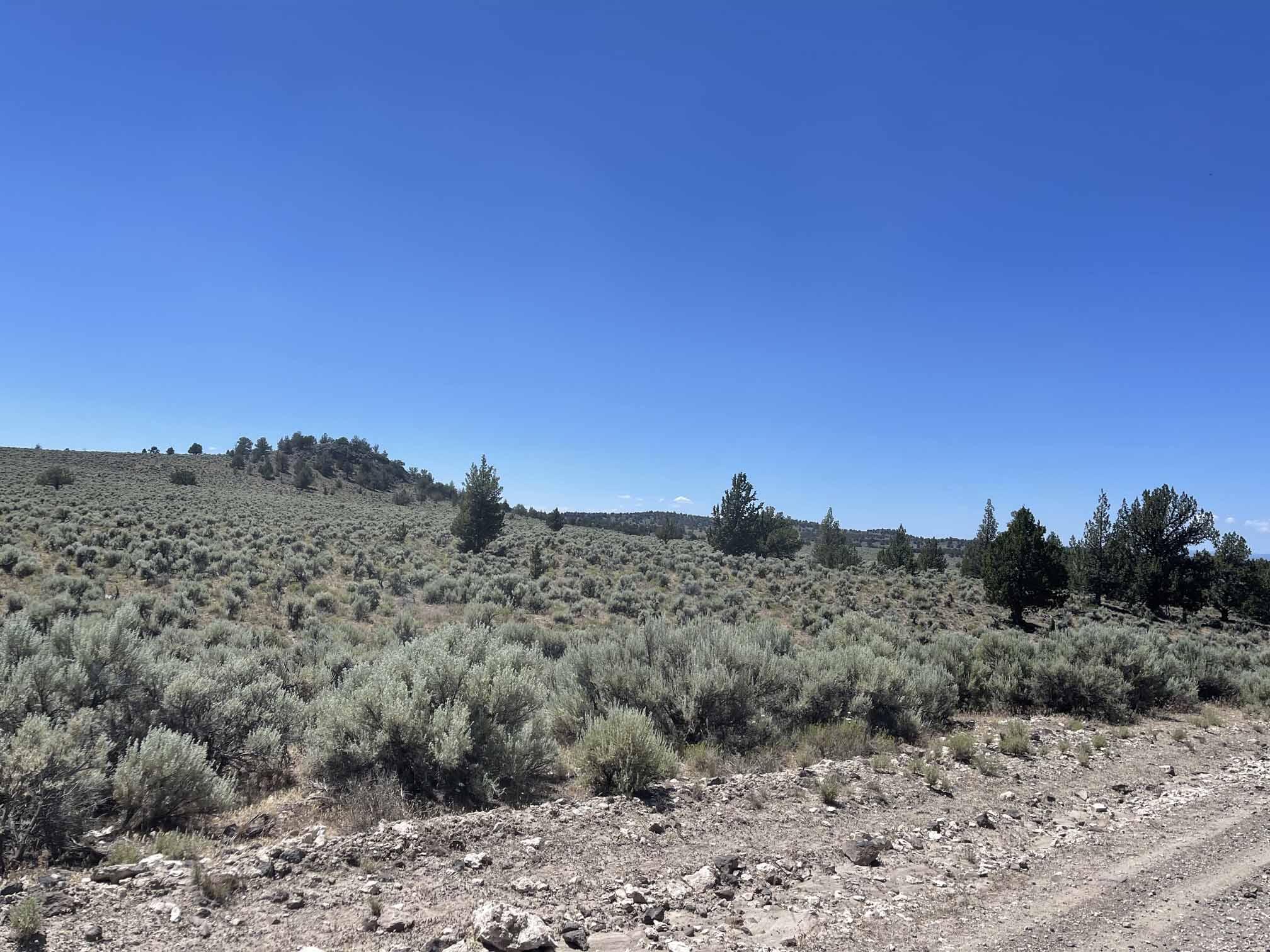 Benjamin Lake Road L 502