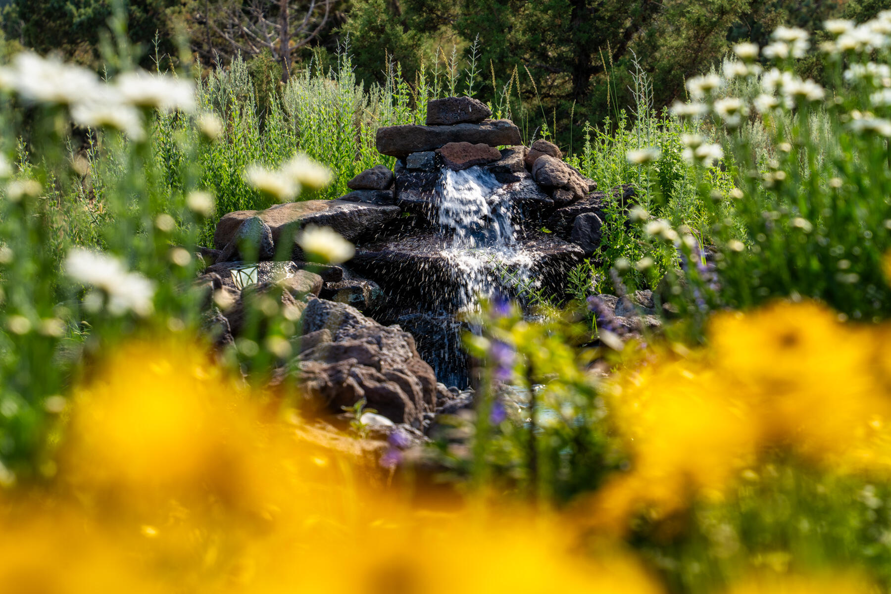 Sherwood Estate - Residential