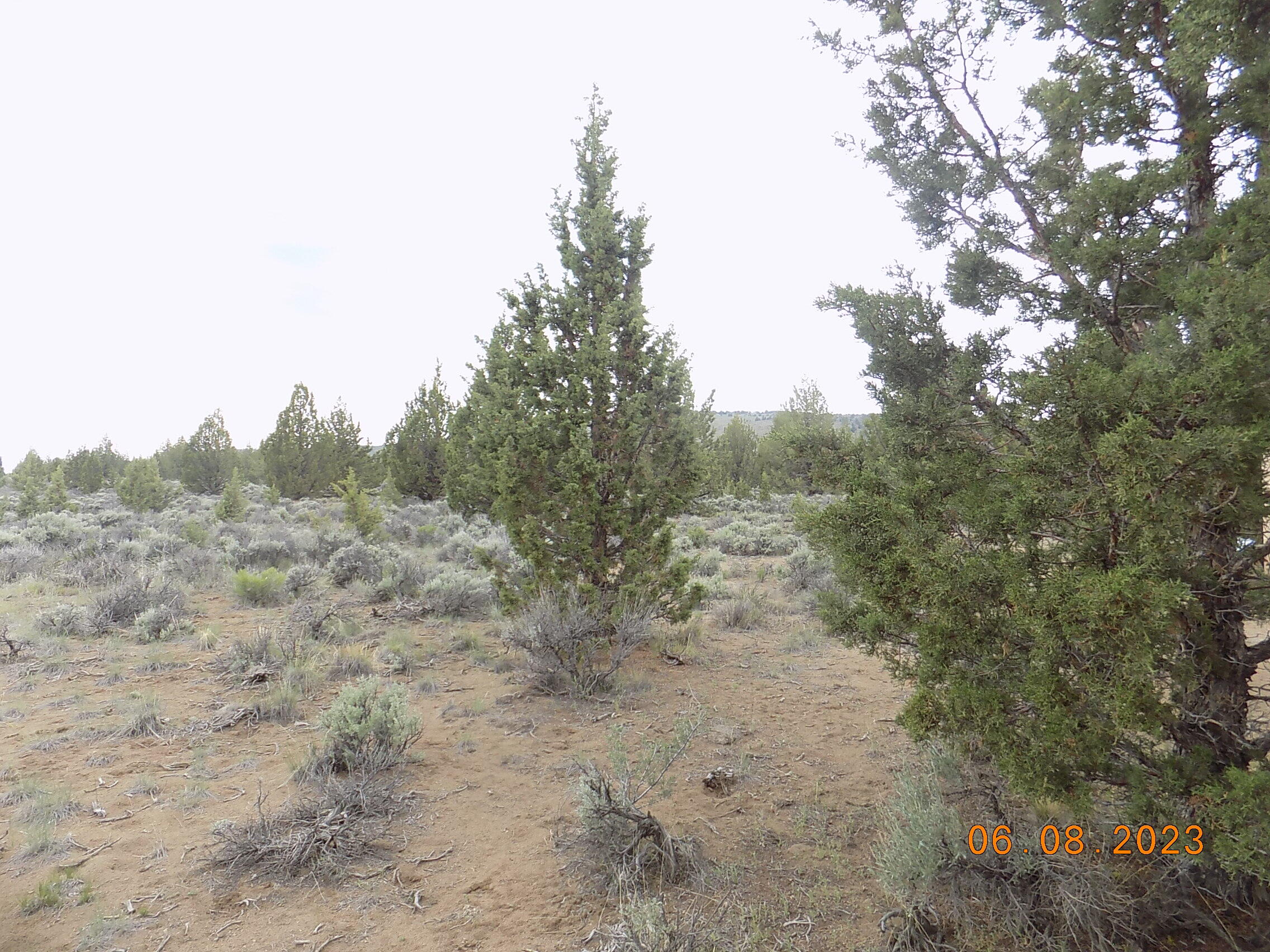 Golden View Ranch - Land