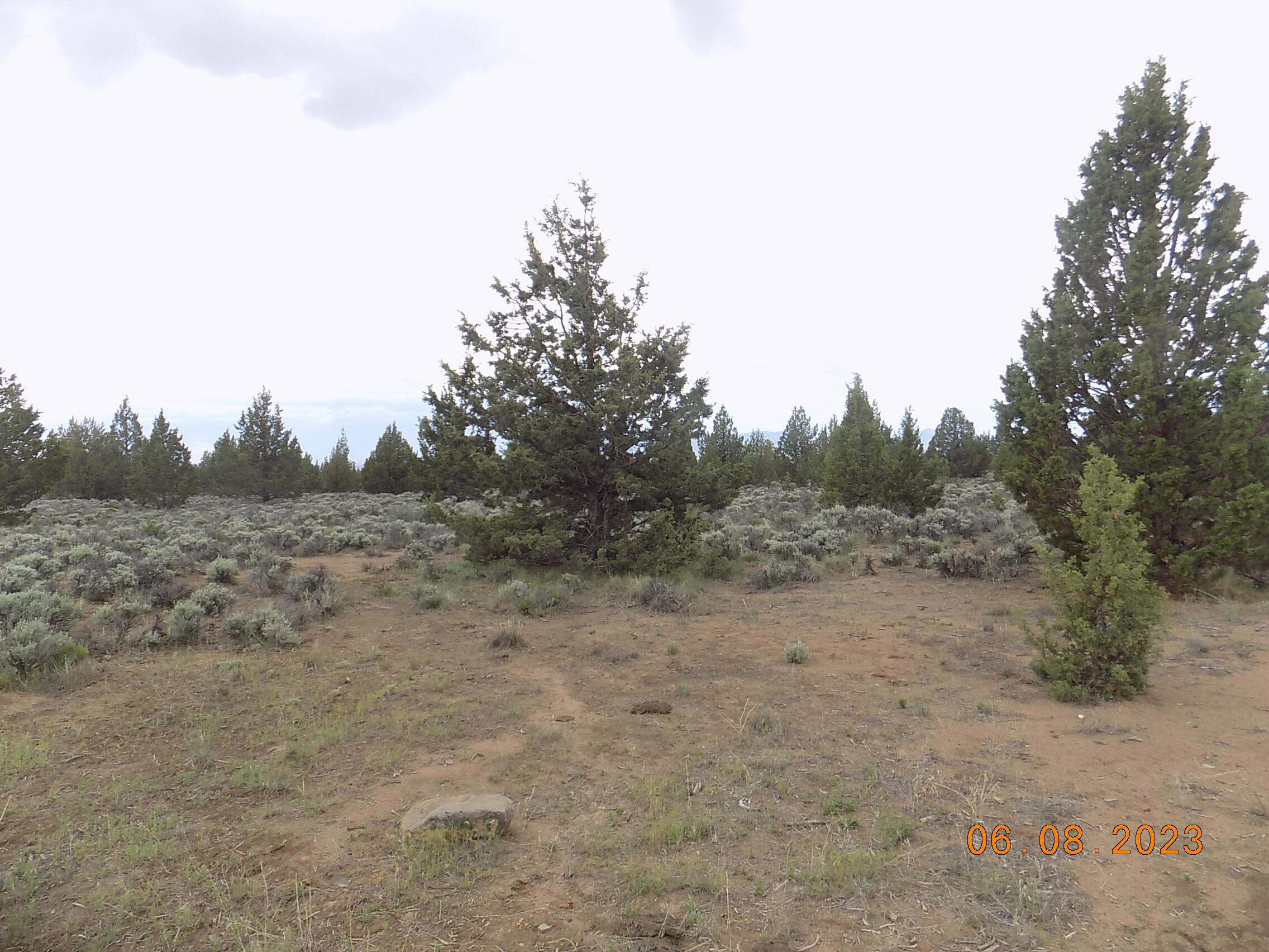 Golden View Ranch - Land