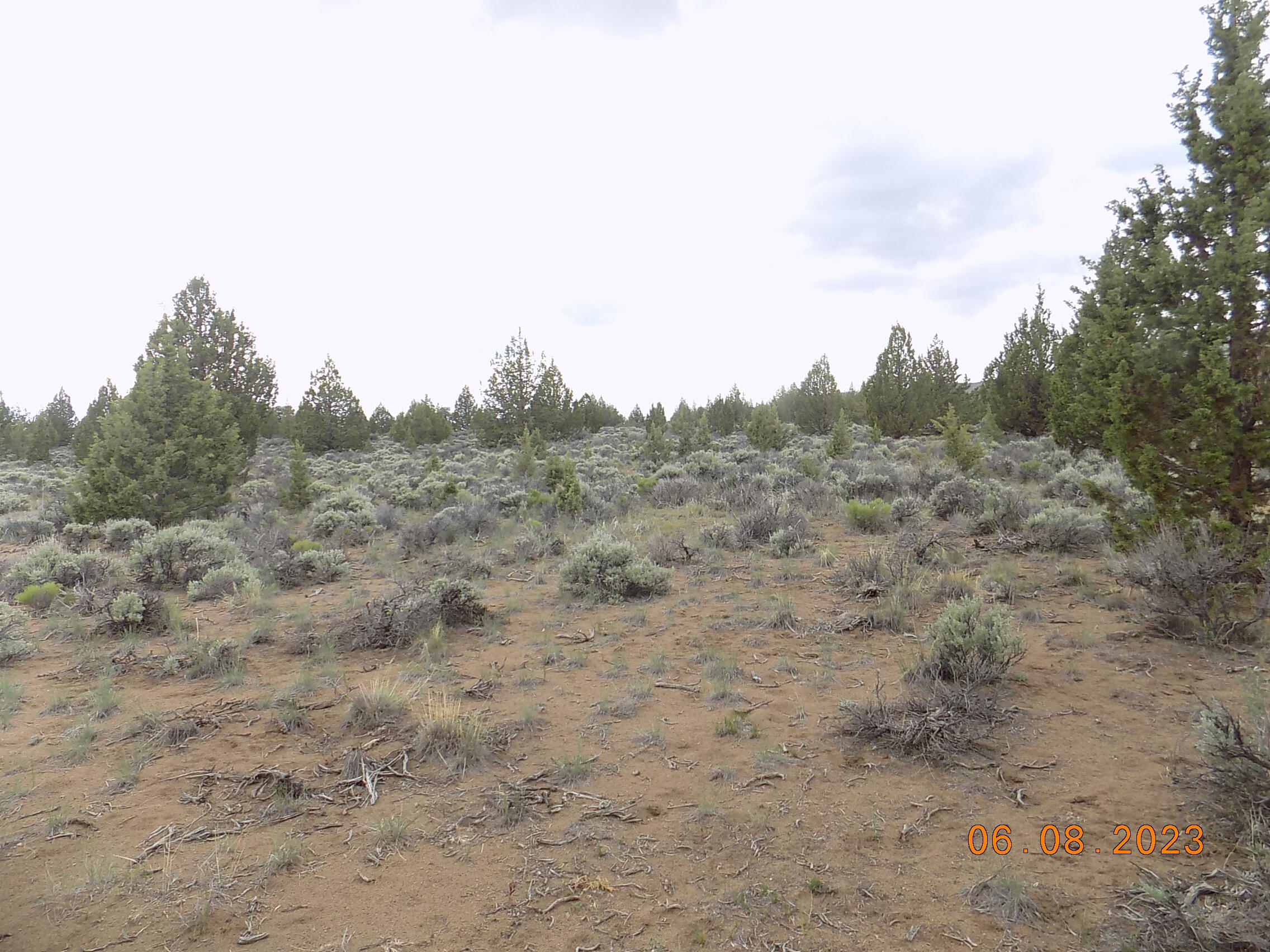 Golden View Ranch - Land