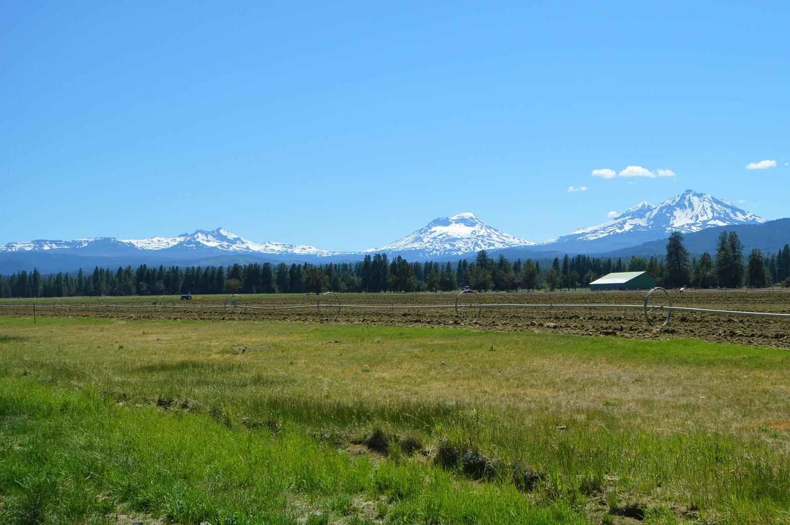 Pine Meadow Vill - Land