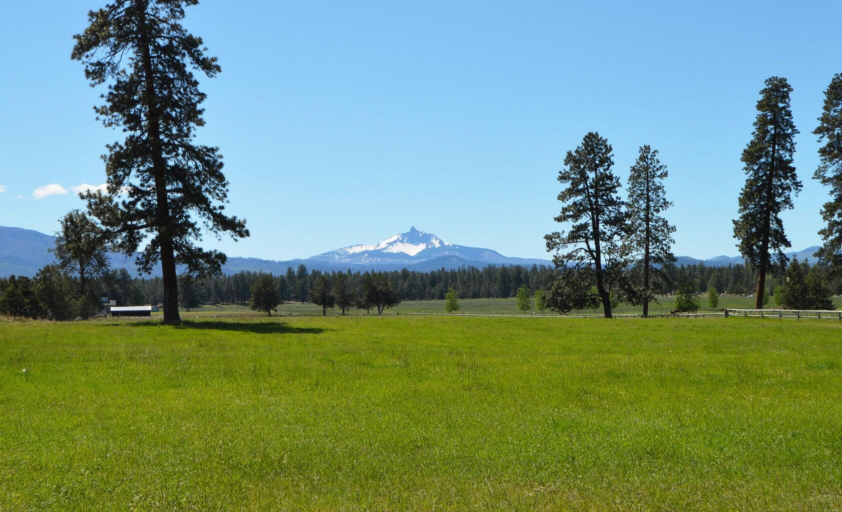 Pine Meadow Vill - Land