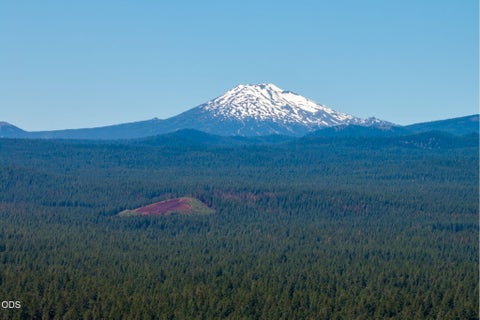 Tiny photo for 19572 Apache Road, Bend, OR 97702 (MLS # 220223845)