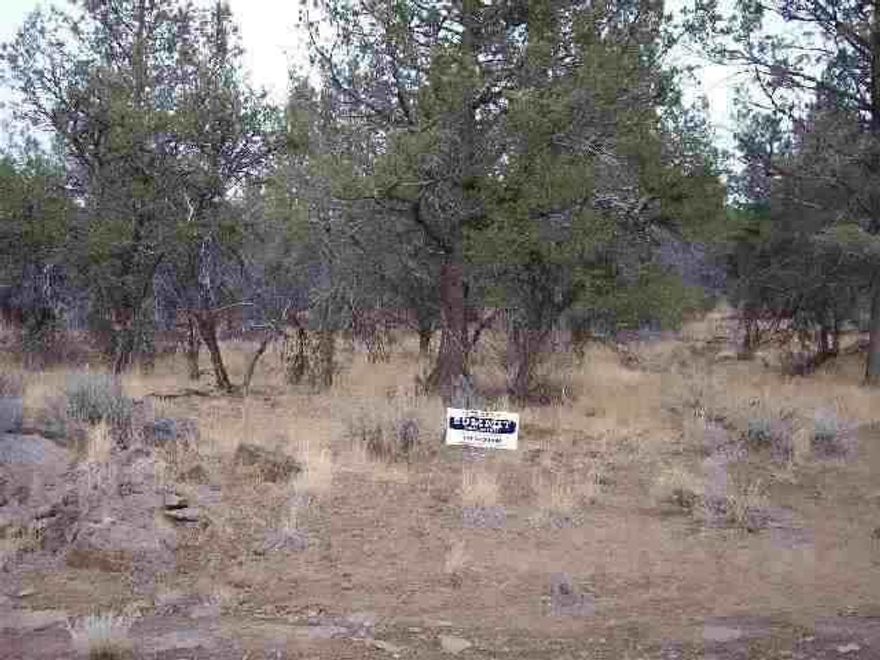 This Lot Has A Lot Of Potential. Slightly Sloping, On Dead End Road With Almost No Traffic. Power Is Approx. 800 Ft Away. Area Of Good Wells. Has Approval For Standard Septic.