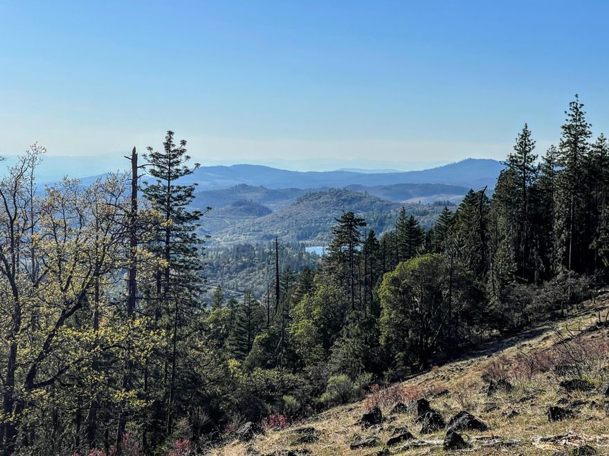 Southwest Oregon land. This 160 acres has plenty of trees and beautiful views of Lake Creek Valley. It's a blank canvas for your off-grid home or recreational cabin. Deer, elk and other game are known to frequent the property. Directions: From Hwy 62 turn east on Hwy 140 for 18.2  and turn left on Wasson Canyon Rd, continue 2.2 miles turn left, Continue .3 miles and there will be a yellow gate on the left. Turn here and continue approx 1.1 miles to the property. Buyer to perform their own due diligence regarding home site.(you must have proof of funds or ability to purchase in order to get a Gate Key.