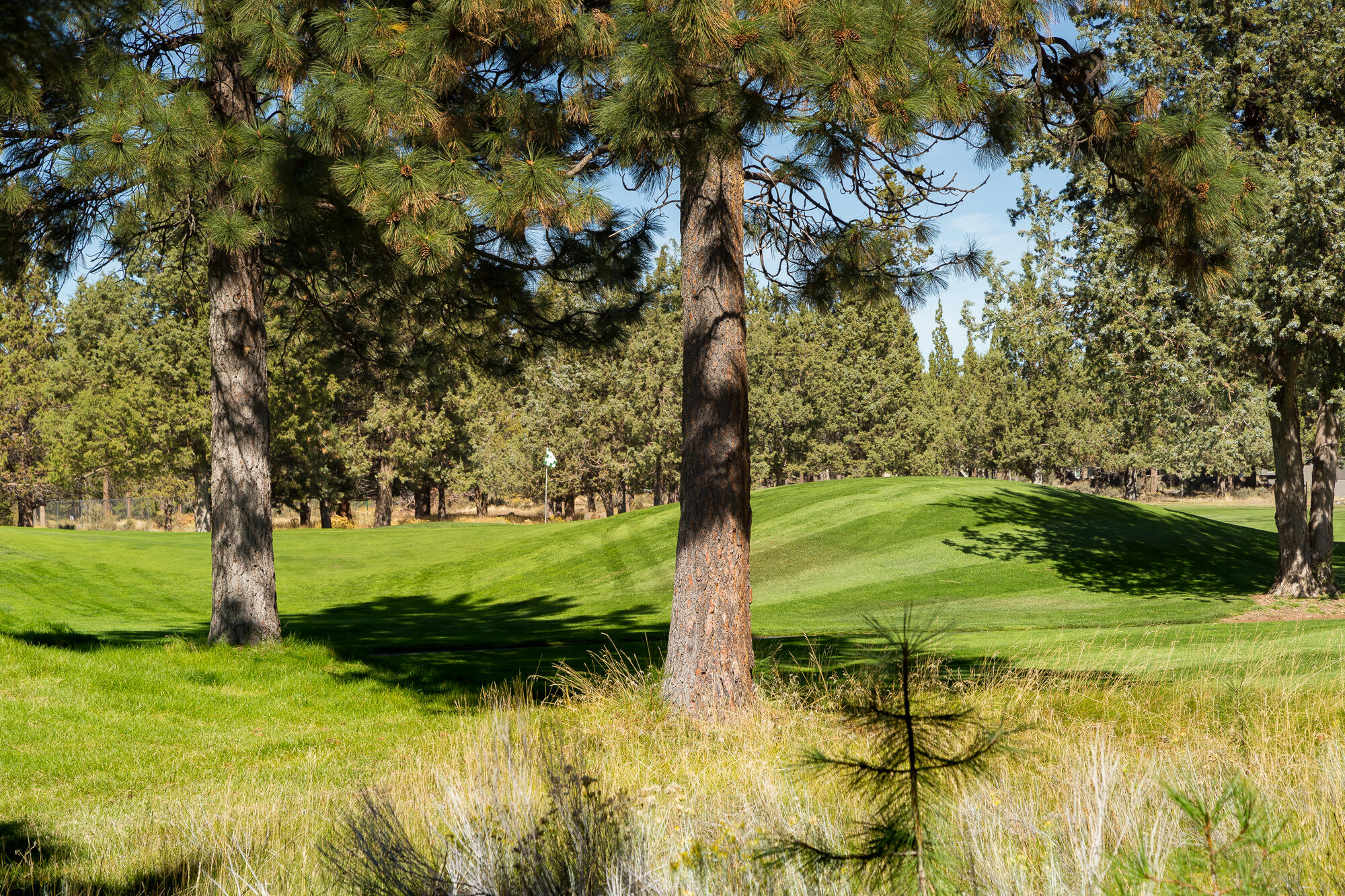 Awbrey Glen - Residential