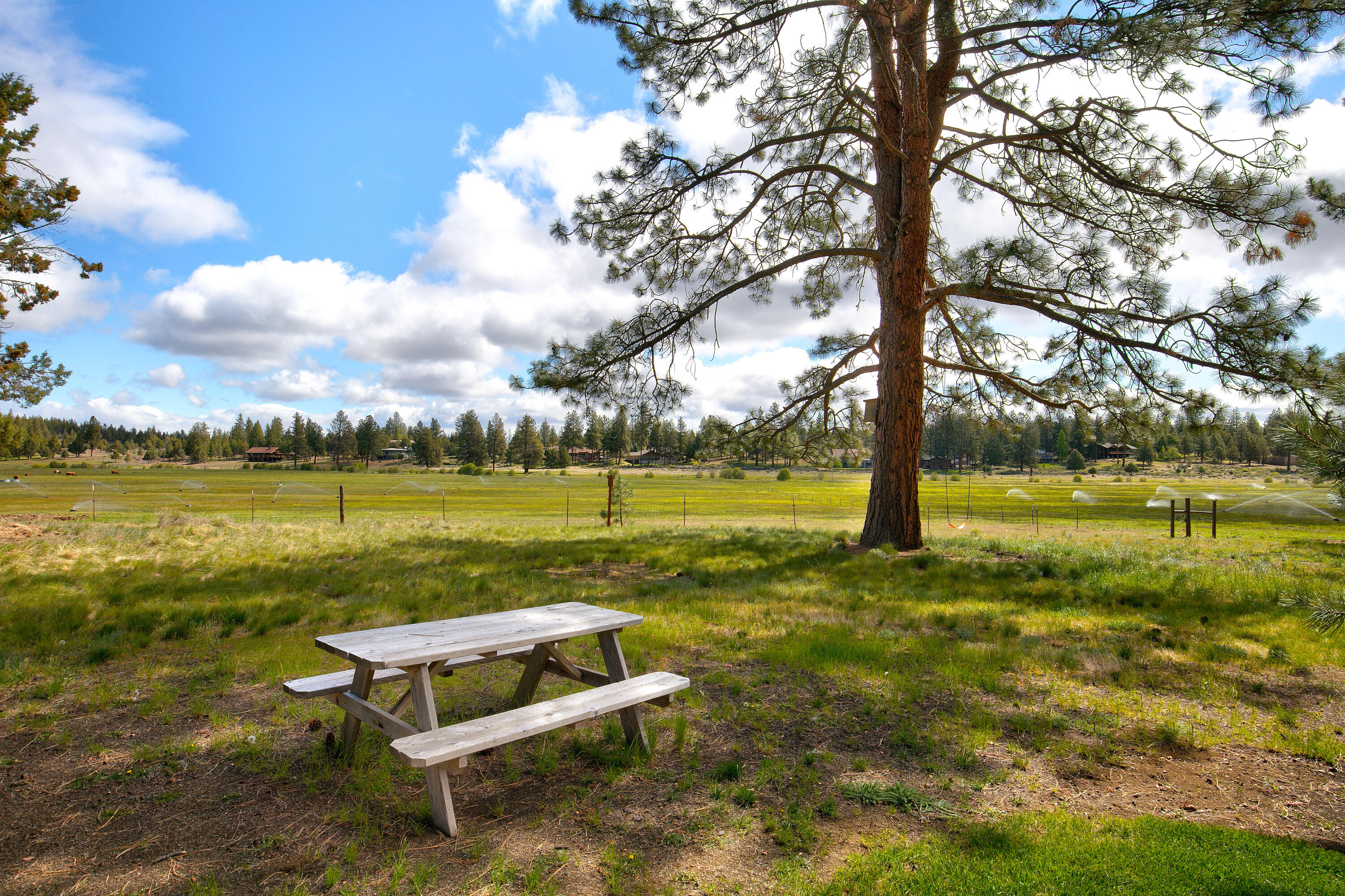 Sage Meadow - Residential