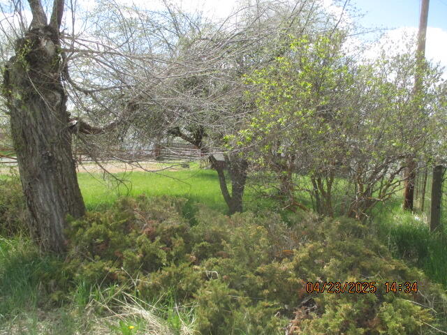 Altamont - Residential