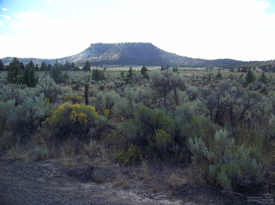 Scenic camp creek in the upper country of Crook County. Roughly 3200 deeded acres with a 4000 acre BLM Grazing permit and another 1640 of leased grazing ground that can be continued with a new owner. 120 acres of irrigated meadow ground. Also dry land rye has been developed on ranch. 4 LOP elk tags and 2 LOP deer tags with this size of acreage. Excellent hunting area for elk, deer and antelope. Great opportunity.