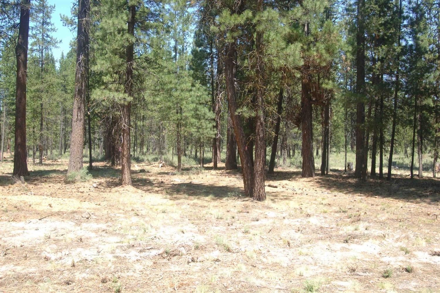 Caldera Springs - Land