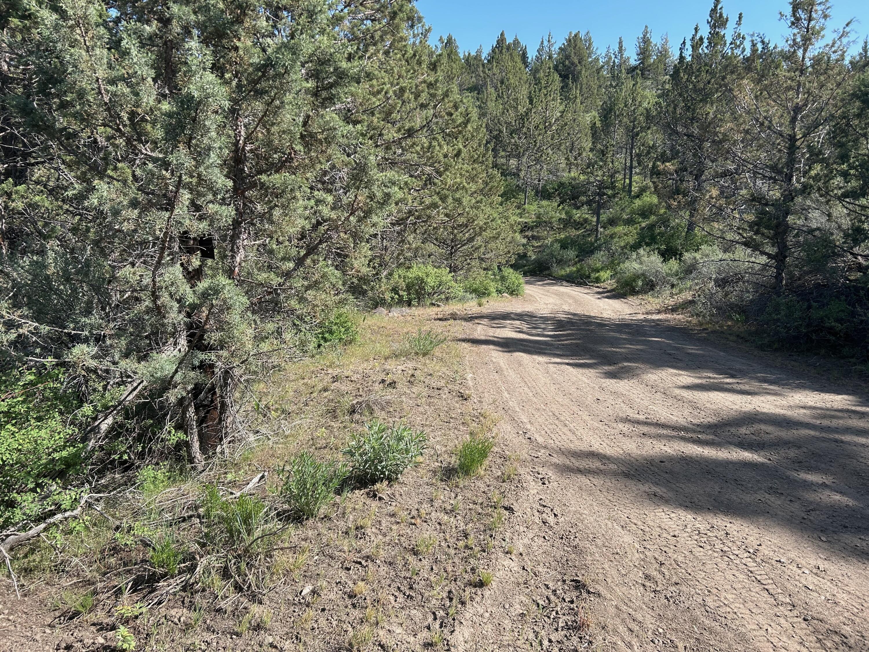SE Simpson Road TL4487 & TL4488